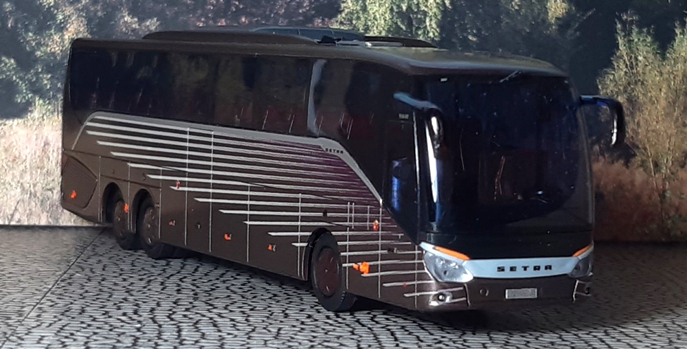 Setra S 416 HDH Türseite