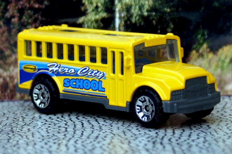 Ward Ford Schoolbus