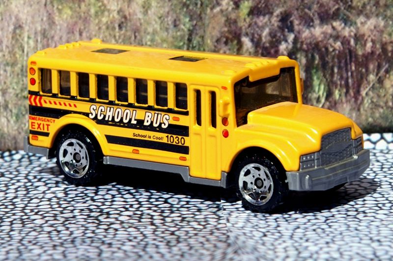 Ward Ford Schoolbus